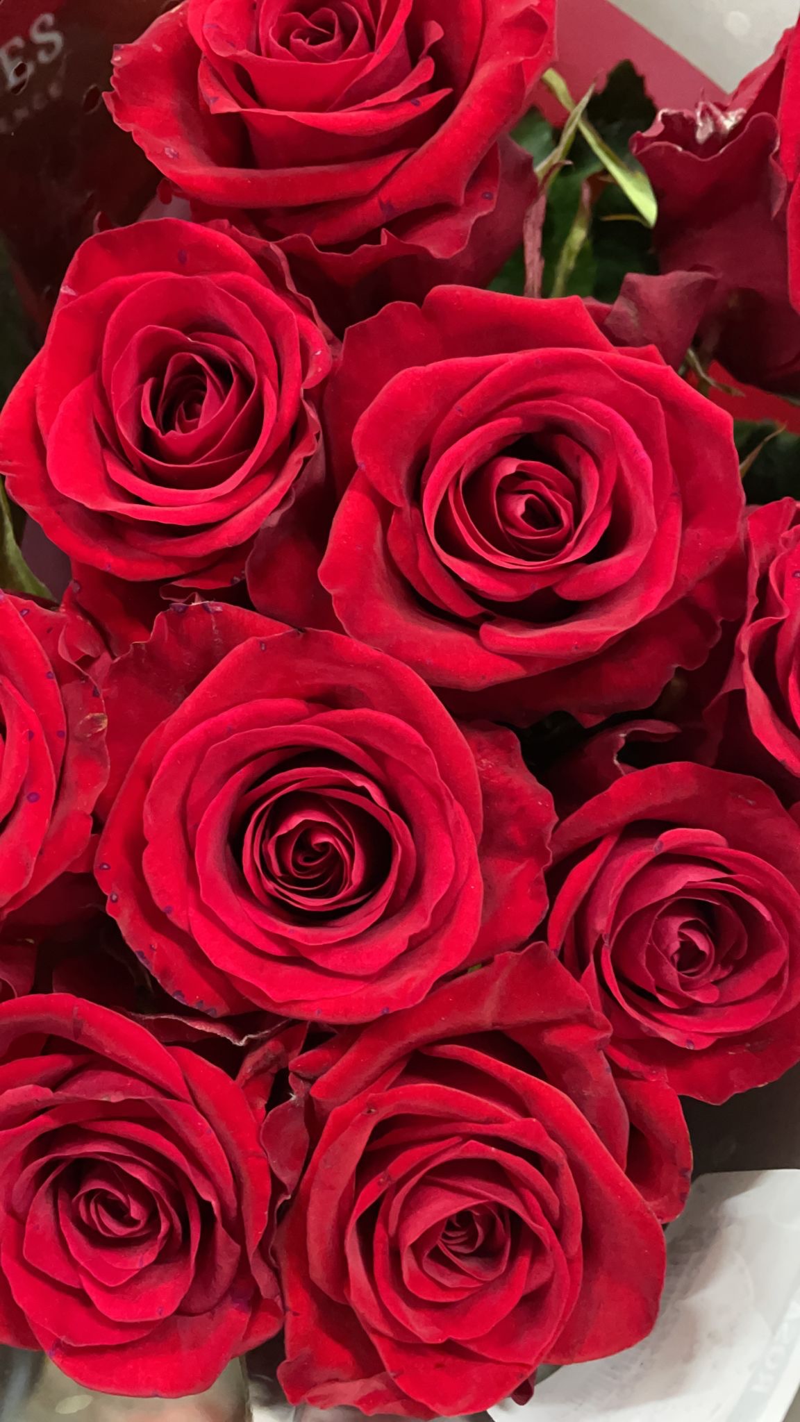 San Valentino – rose e tradizioni